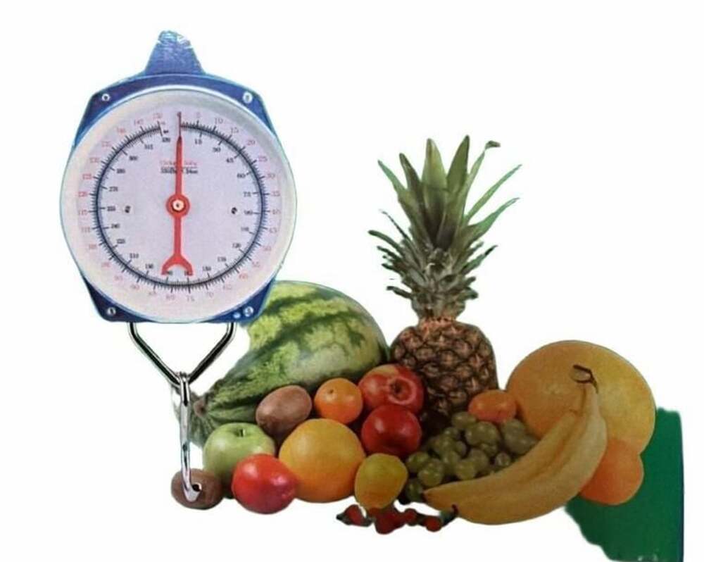 Hanging Scale Dial Spring Scale with Hooks